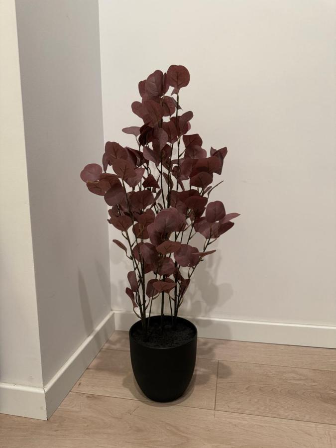 בוקרשט Warm Hotel Apartment מראה חיצוני תמונה