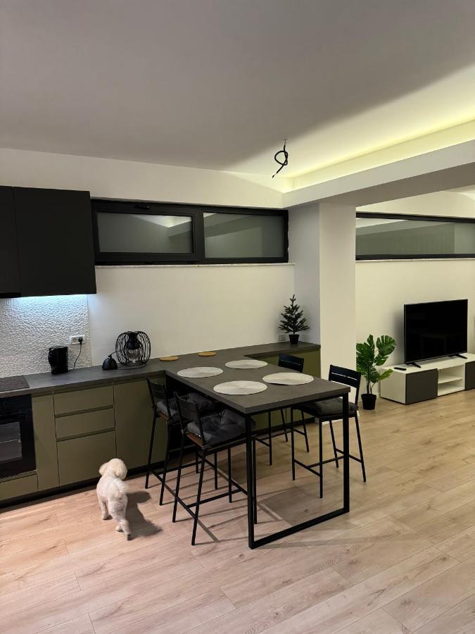 בוקרשט Warm Hotel Apartment מראה חיצוני תמונה